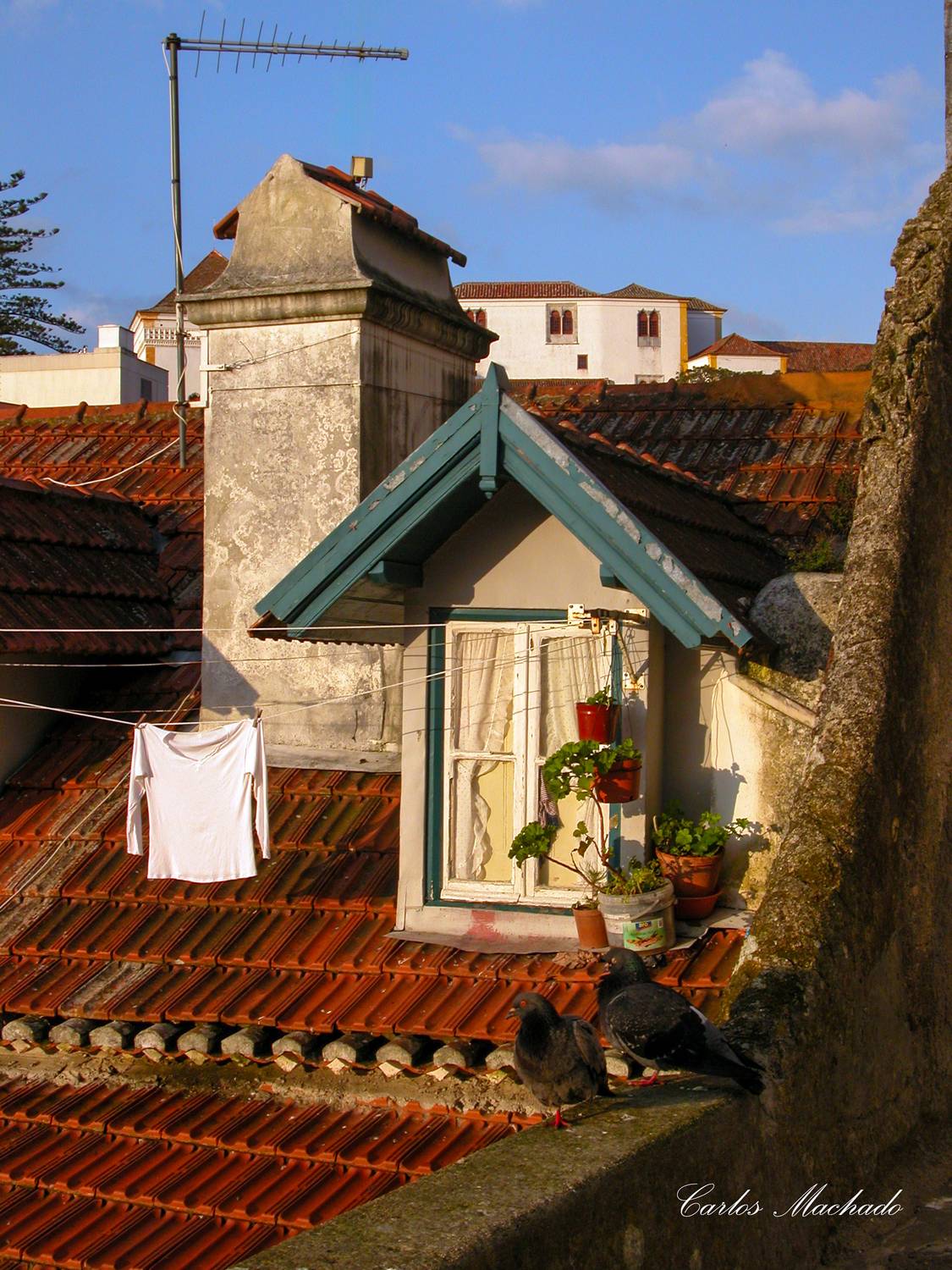 Old Houses, Windows, Machado Carlos