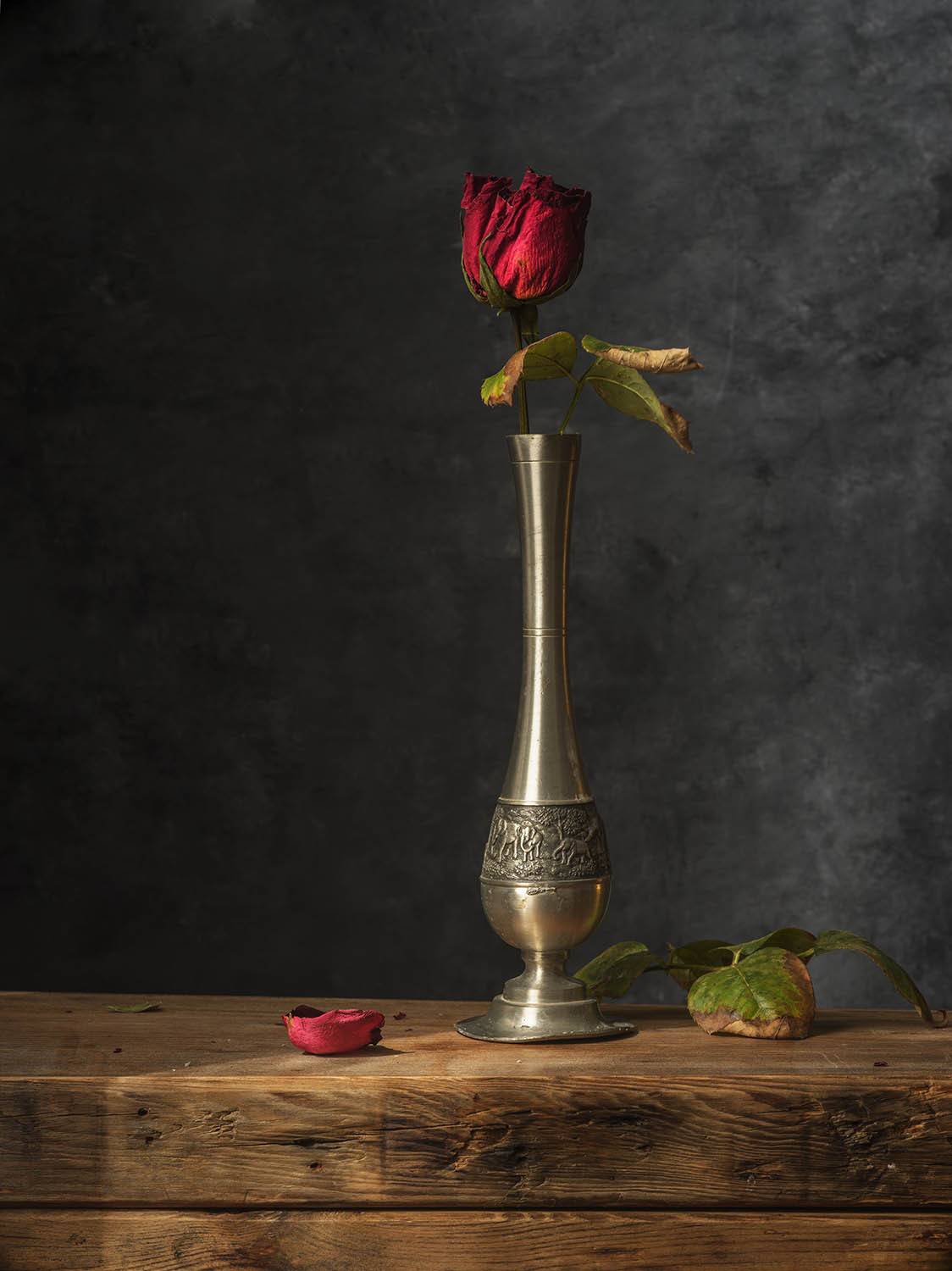 , Солодар Виктория