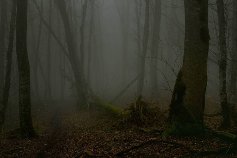 зима, туман, лес, утро Туманное утро зимой фото превью