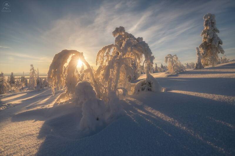 кольский, зима, заполярье, мороз, фототур на кольский зимой, мурманская область, сопки, солнце, лес Диагонали зимы фото превью