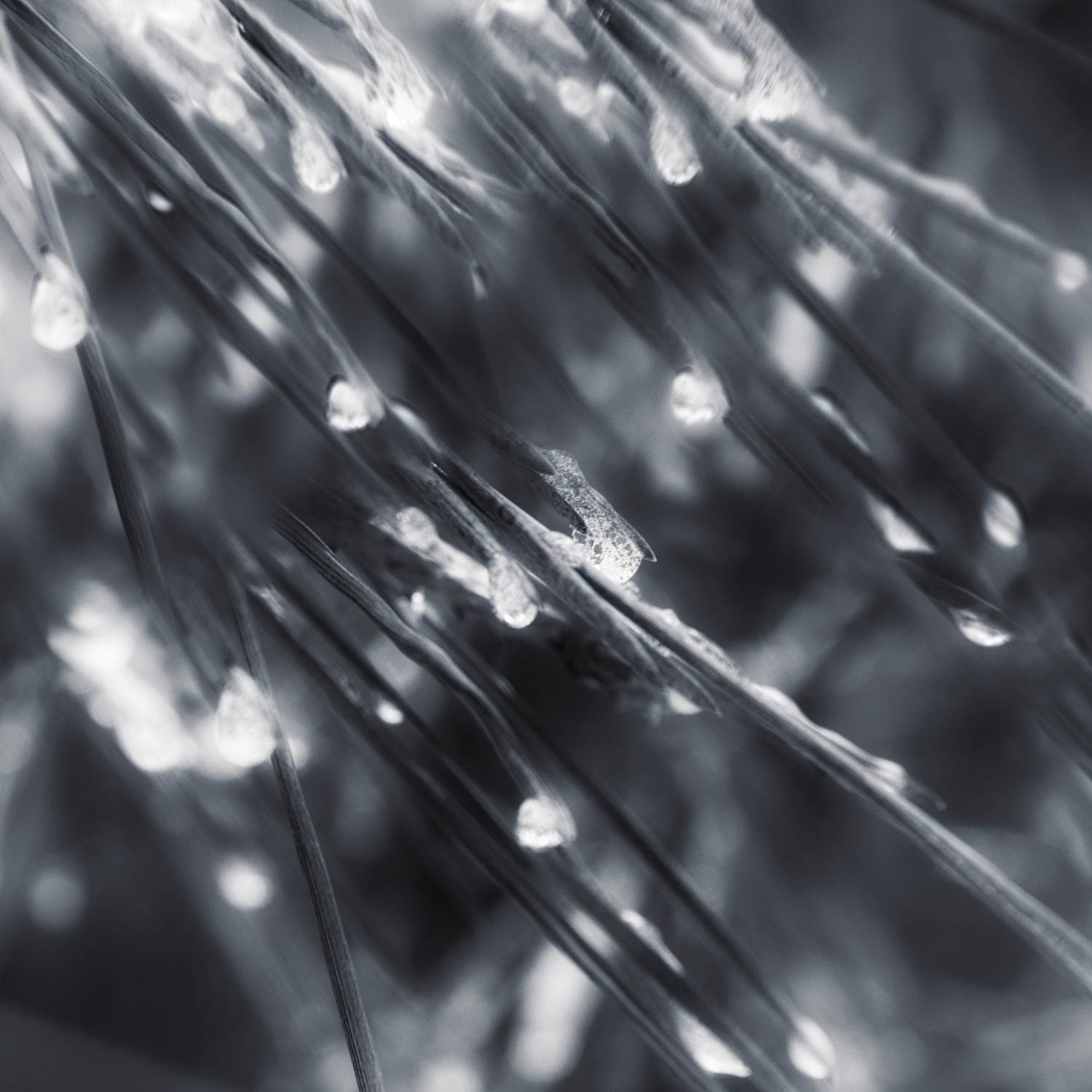 черно-белое, Валерий Вождаев