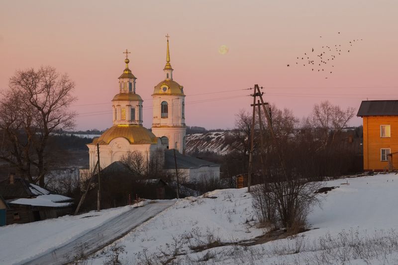 Грачи прилетели фото превью
