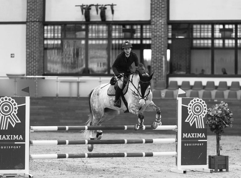 соревнования, конкур, прыжок, спорт, horse, competition, jump, sport В ритме конкура фото превью