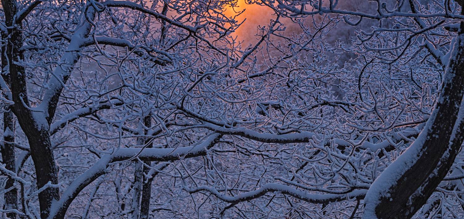 , Подосинников Максим