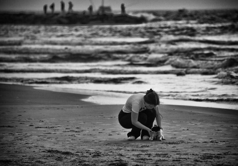 На пляже фото превью