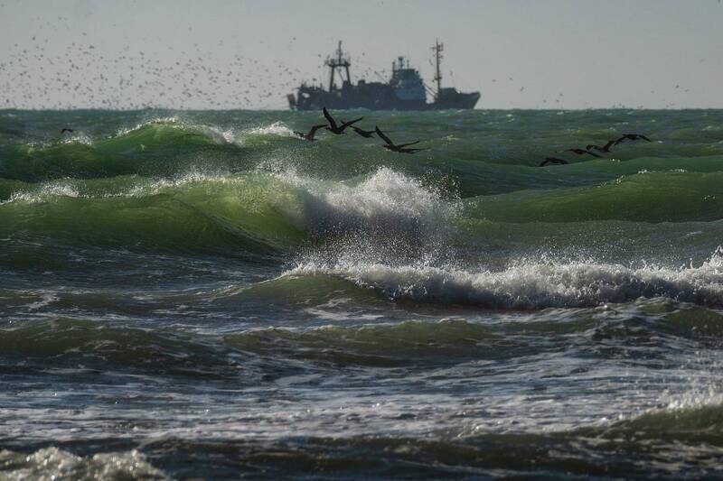 Почти касаясь волн. фото превью