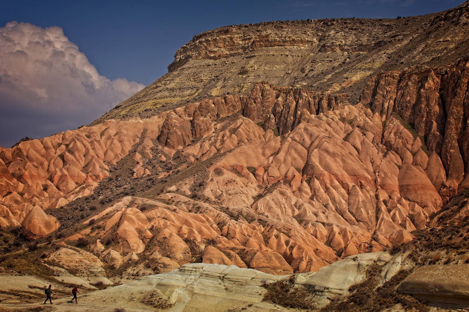 , Игорь Щербаков