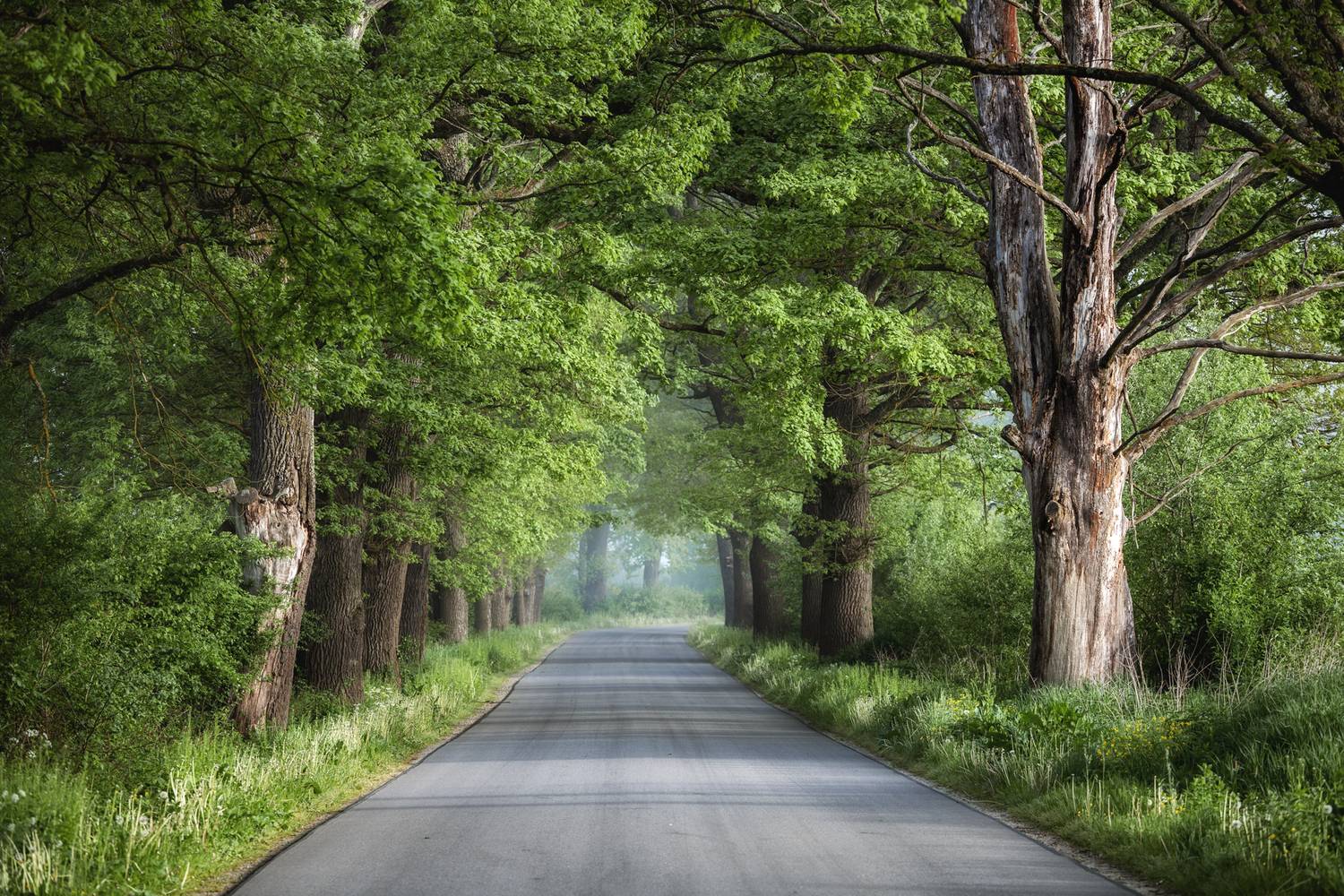 ,  Mirosław Pruchnicki