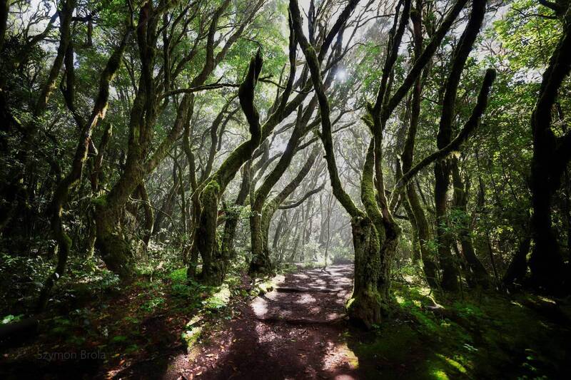 La Gomera фото превью
