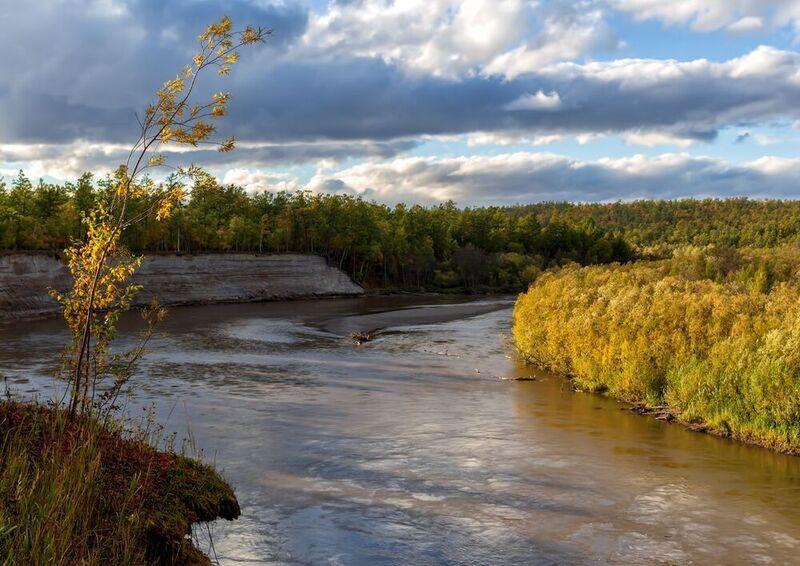 Камчатка, Еловка, осень, река Постою на краю... фото превью