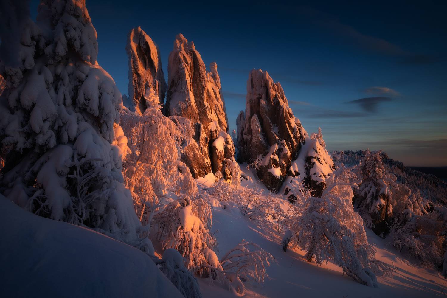 , Татьяна Бирюкова