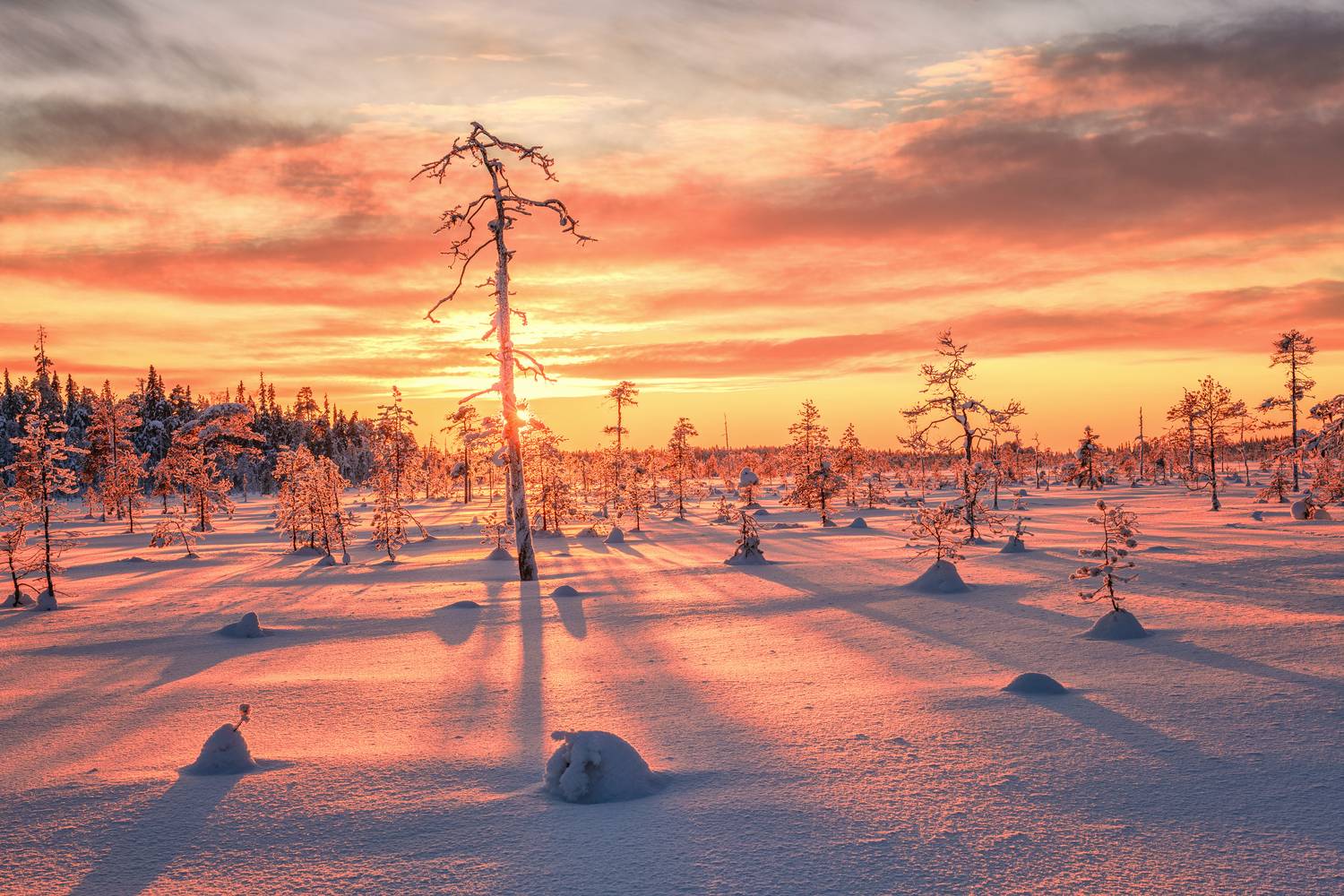 Карелия, Евдокимов Максим