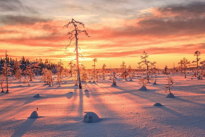 Карелия Солнечные танцы...  фото превью