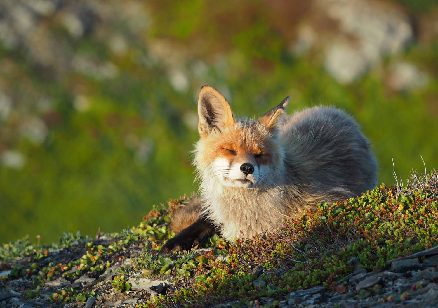 , Яковлев Евгений