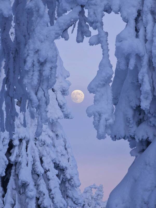 пермский край, пейзаж, закат, зима природы, зима, вечер, каменный город, луна, лес, снег В обьятьях зимы фото превью