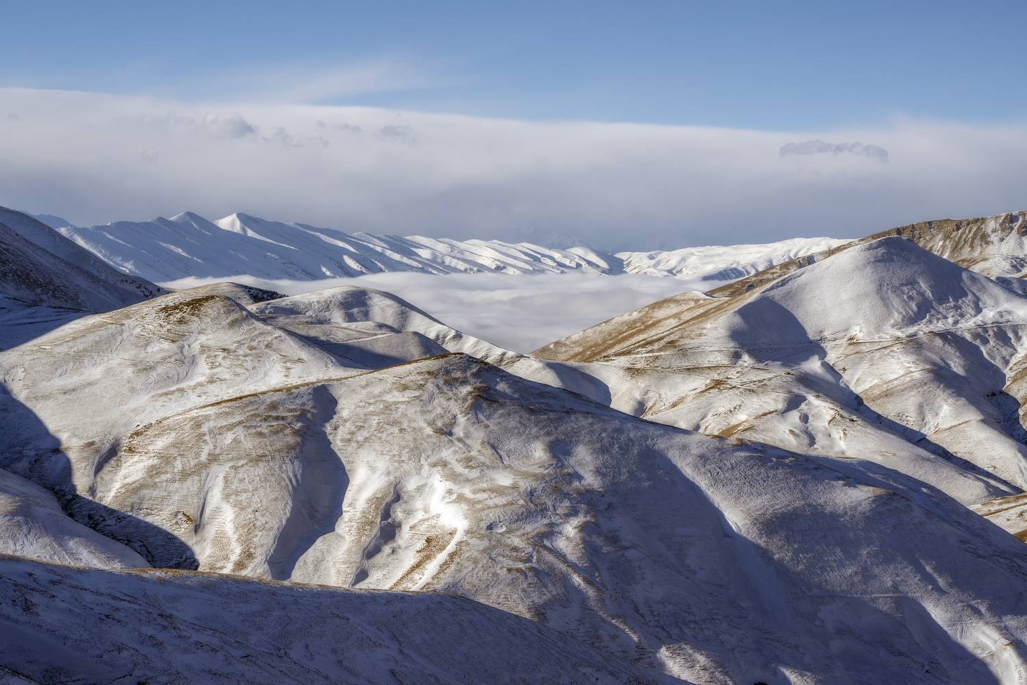 , Андрей Пучков
