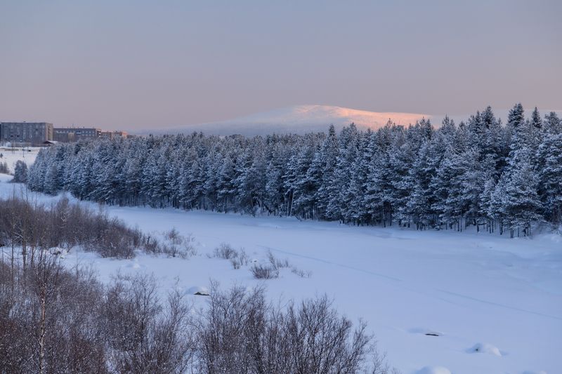 Мурманская область, Кольский полуостров, Кандалакша, Волосяная сопка Зимняя Нива фото превью