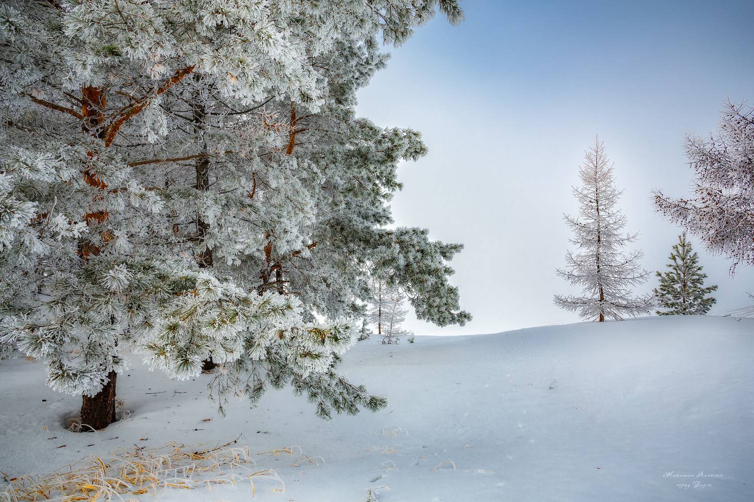 , Никитин Алексей