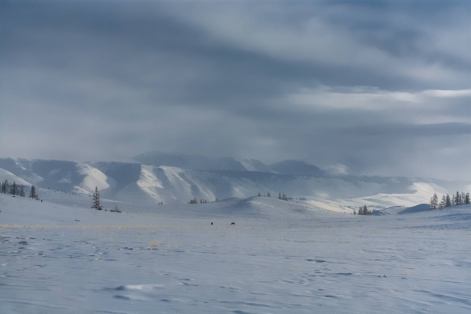 россия, горный алтай, зима, Андрей Поляков