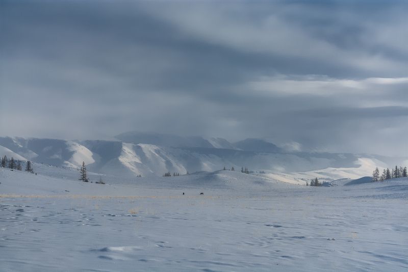 россия, горный алтай, зима Зима на Алтае фото превью