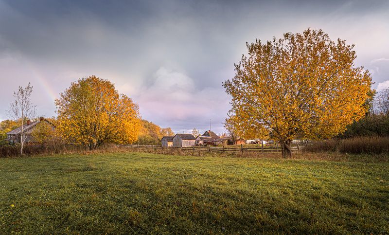 Смоленская, область, Торбеево Воспоминание об осени... фото превью