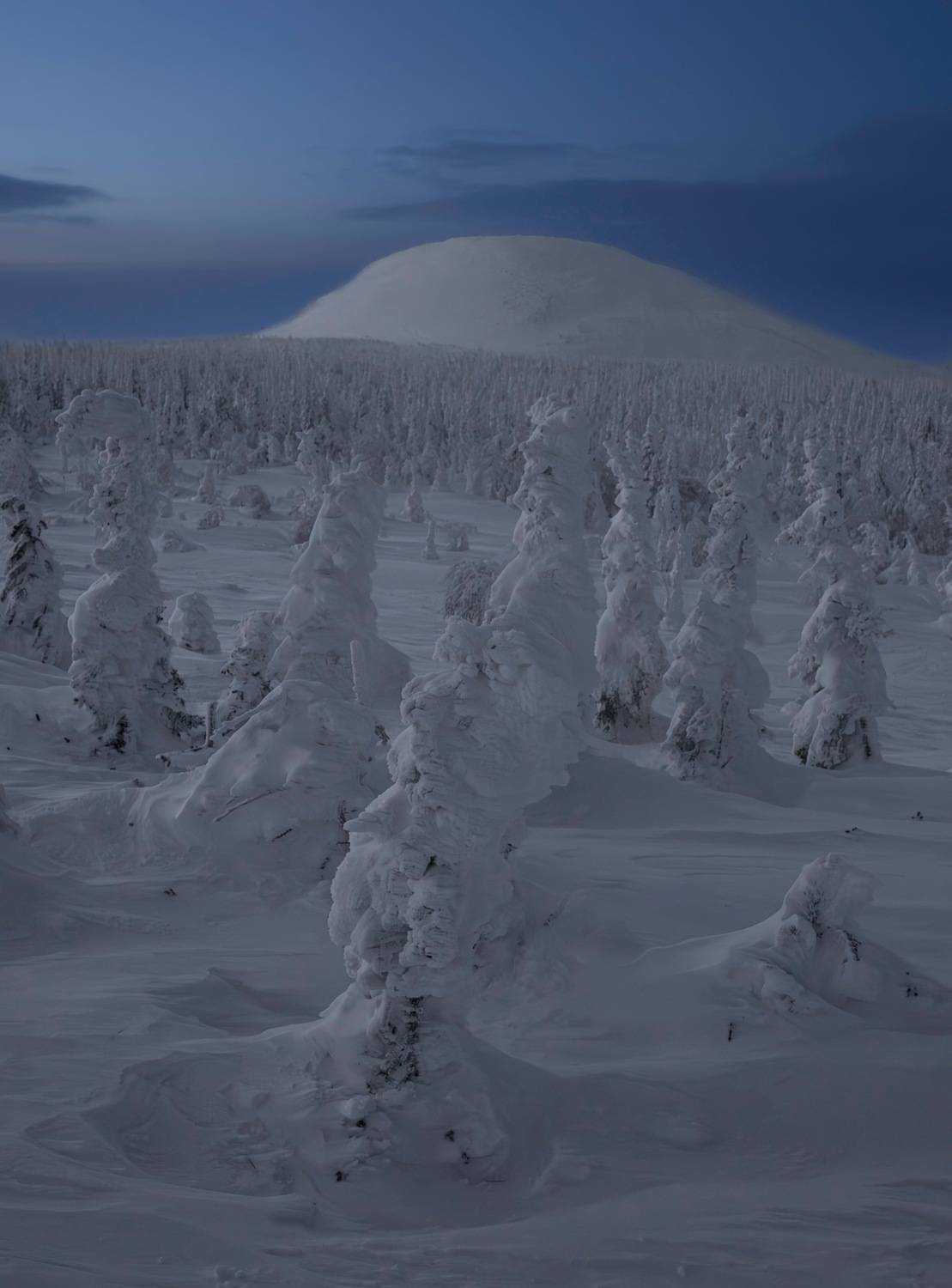 , Ширгин Сергей