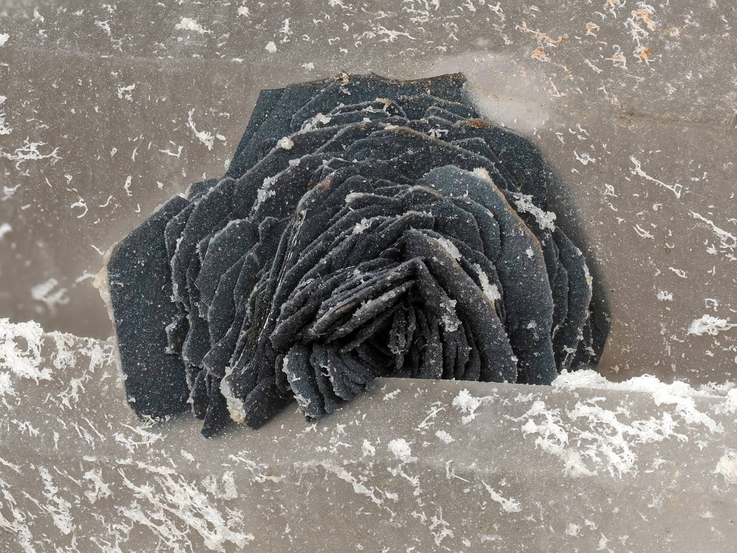 макро, минералогия, минерал, спекулярит, Глеб Коровко