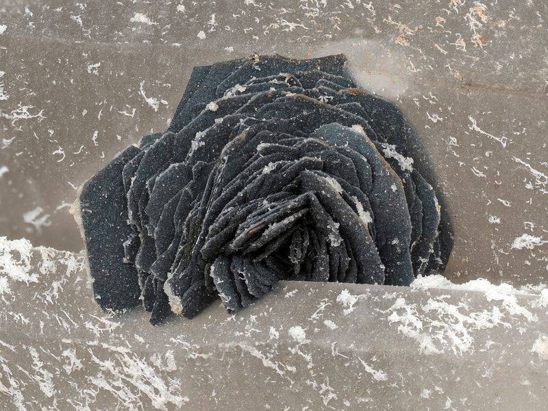 макро, минералогия, минерал, спекулярит Чёрная роза фото превью