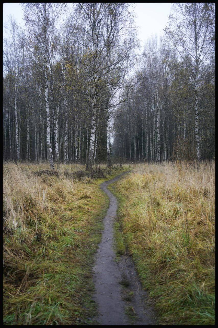 , Алёна Таланова