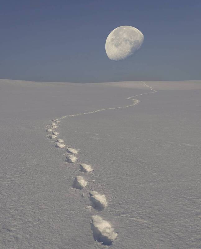 Пешком с луны... фото превью