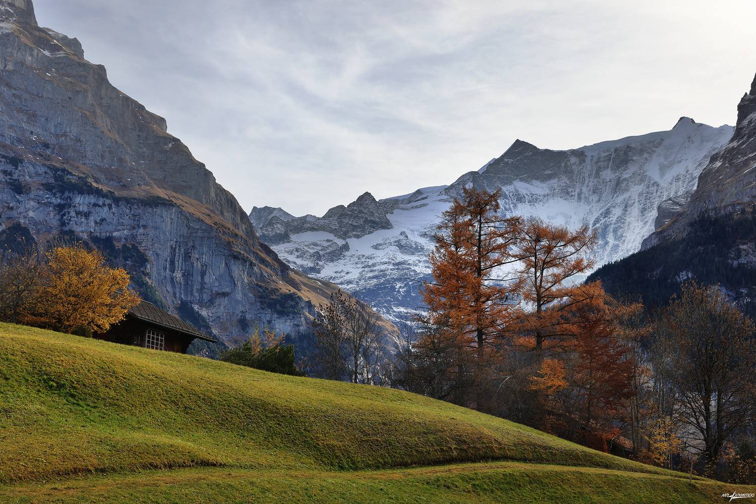 swiss, Матвеев Николай