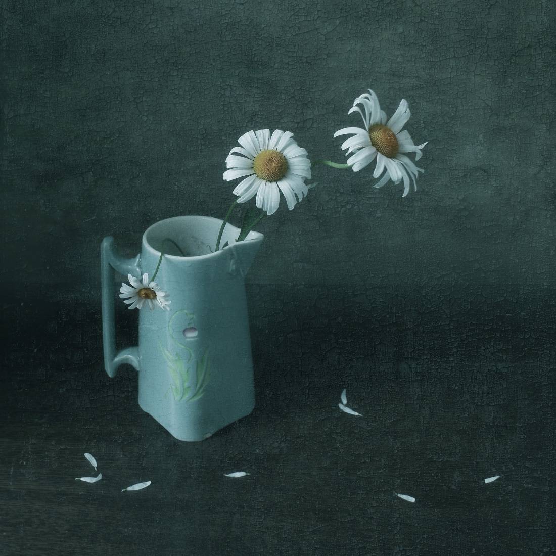 ромашки, гадание, Колеснева Елена