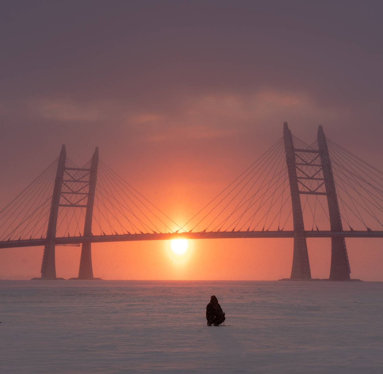 санкт-петербург, спб, город, петербург, закат, залив, bay, sunset, город, city, landscape, финский залив, зима, winter, мост, bridge, небо, зсд, облака, clouds, sky, Alexey S
