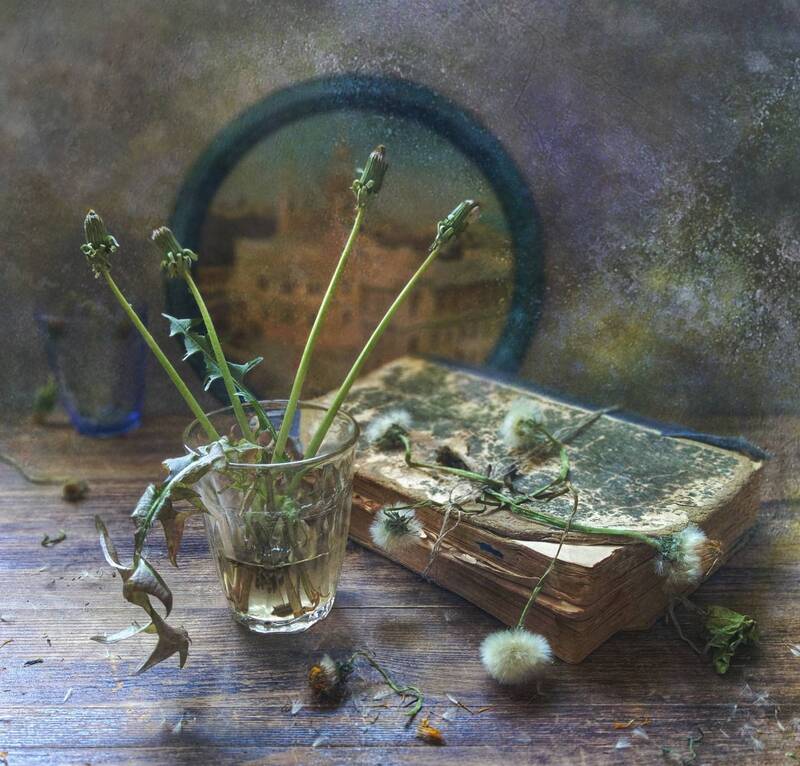 Одуванчики фото превью