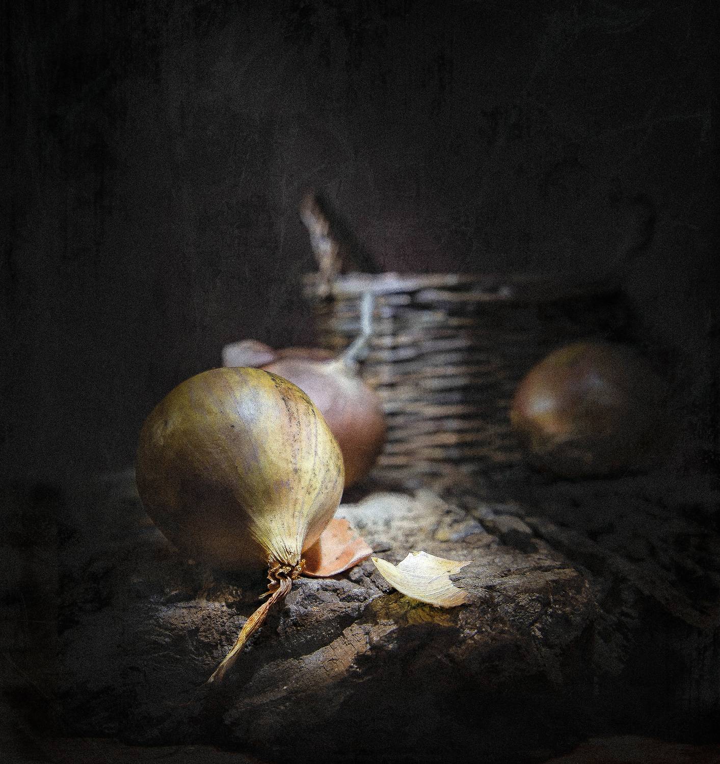 , Gasiorowski Wladyslaw