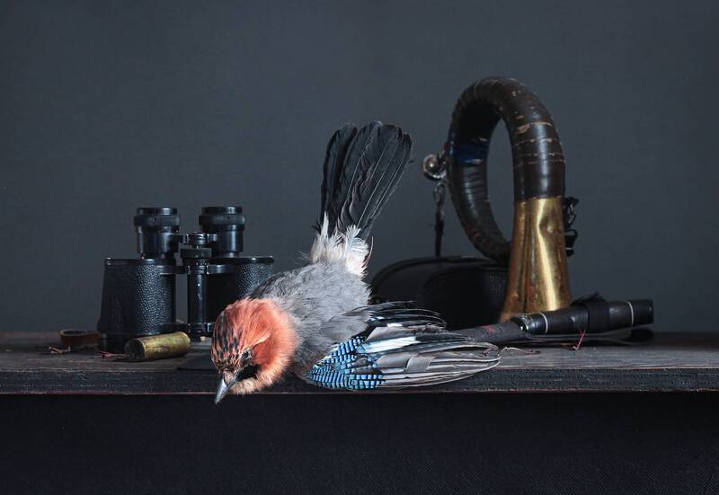 фото превью