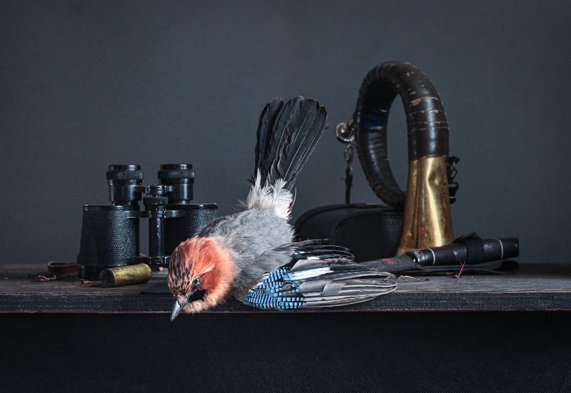 фото превью