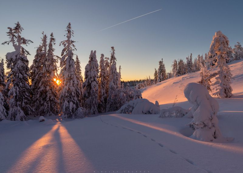 *** фото превью