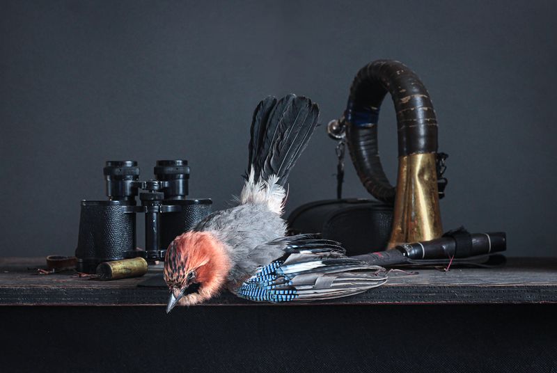 Эх, охотнички!... фото превью