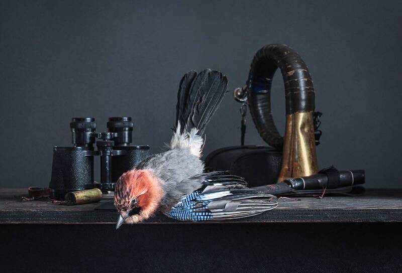 натюрморт, фотонатюрморт, still life, stillifefoto, охота, сойка, бинокль, наталья_казанцева Эх, охотнички! фото превью