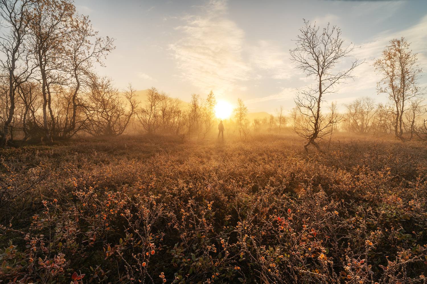 , Ян Сурогин