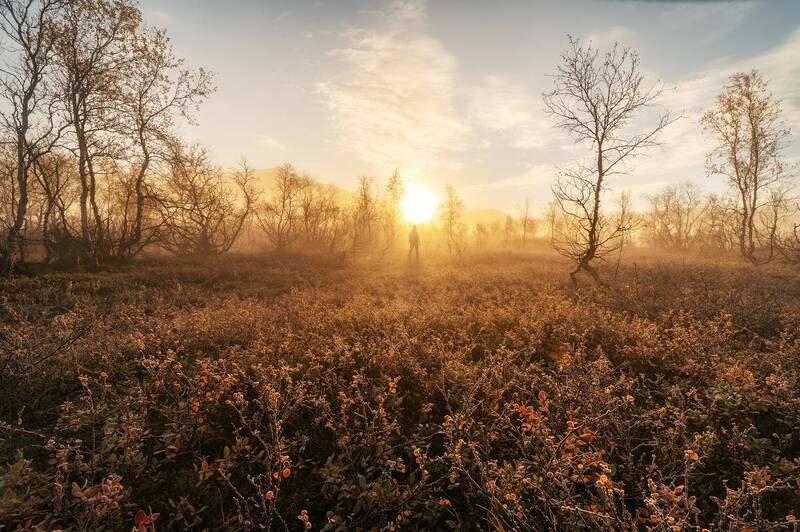 Утренняя прогулка. Долина Малого Вудъявра. фото превью