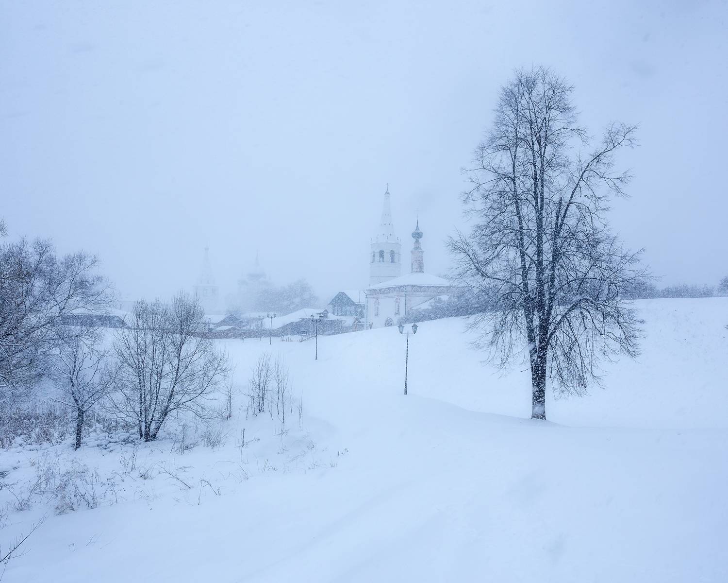 Суздаль, природа, пейзаж, снег, метель, Мартыненко Дмитрий