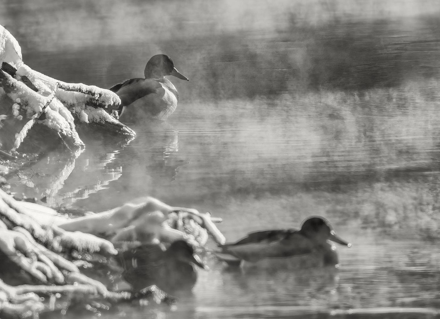 , Дем Константин