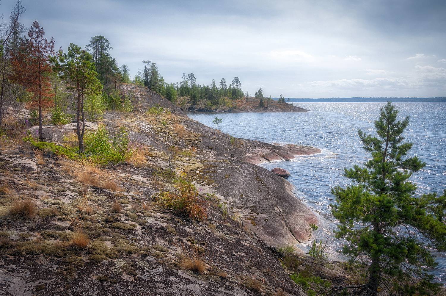 , Сергей Аникин