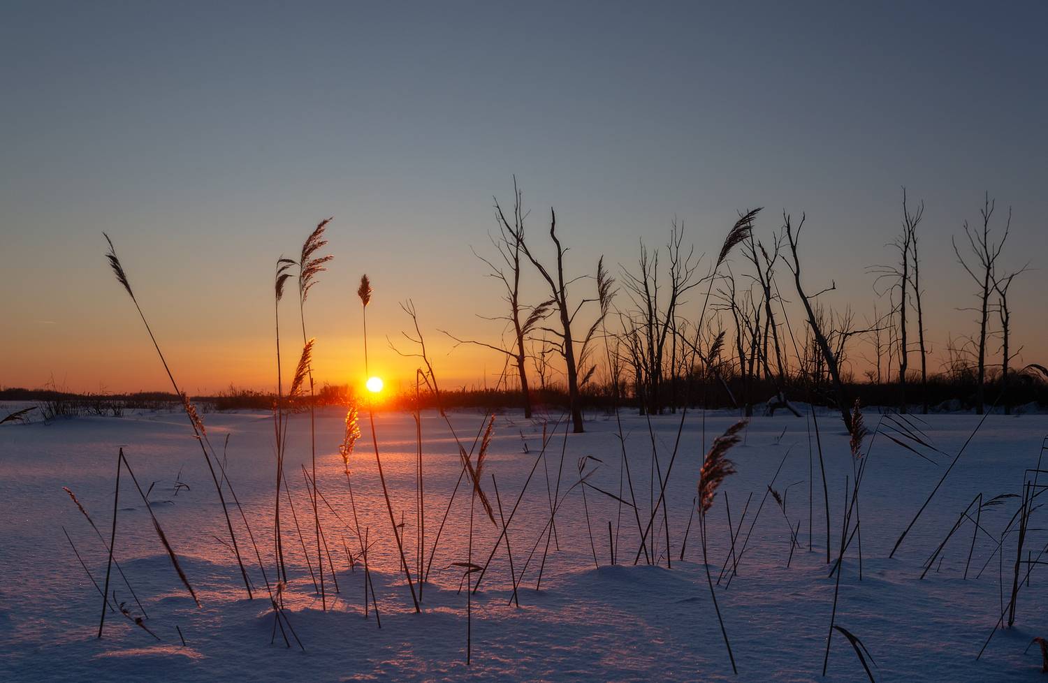 , Lozhkin Vyacheslav