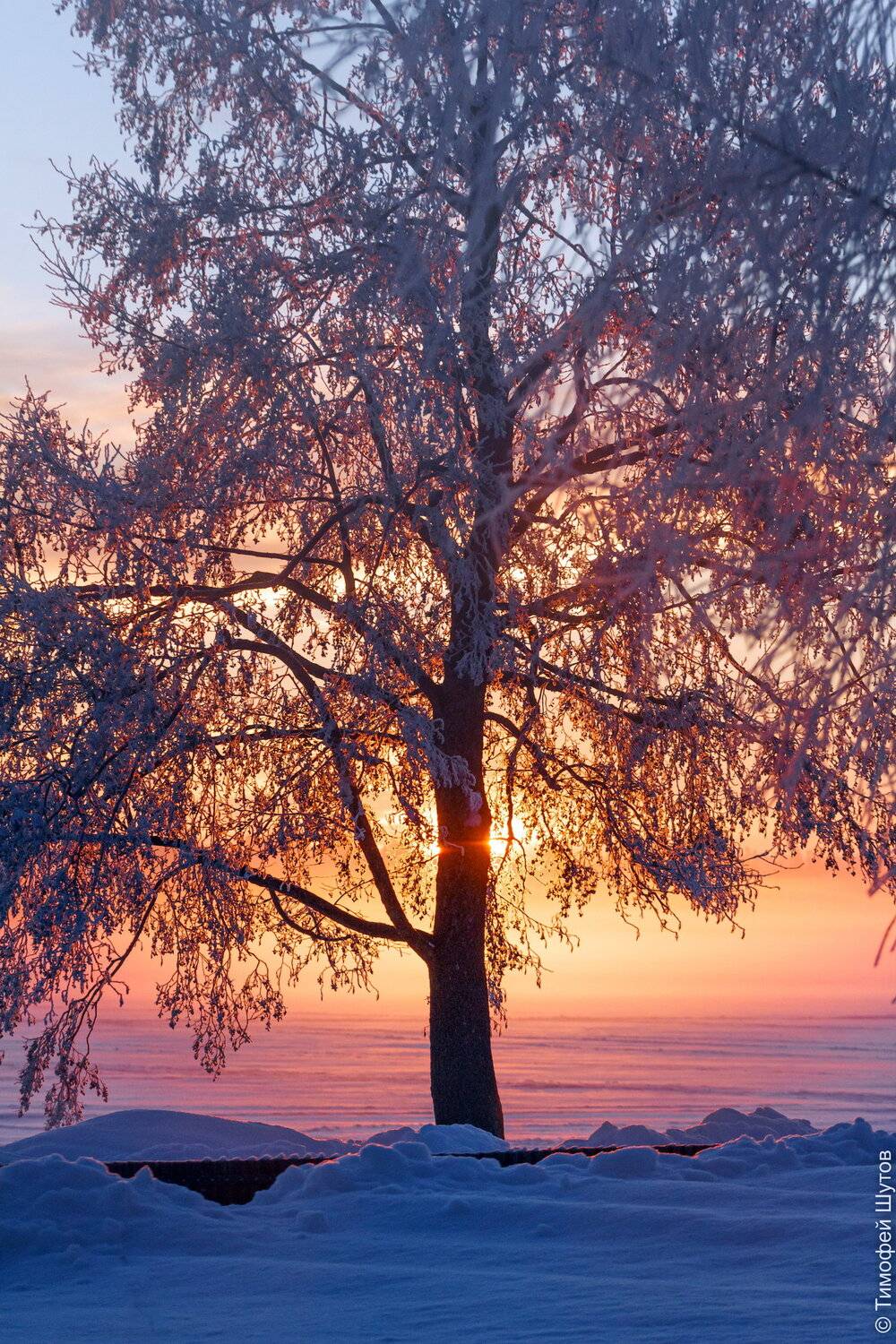 валдай, Тимофей Шутов