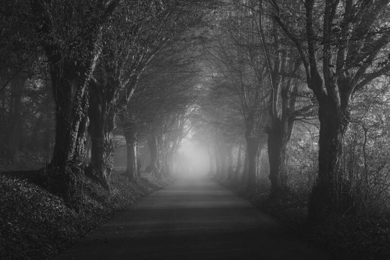 These Dying Souls фото превью