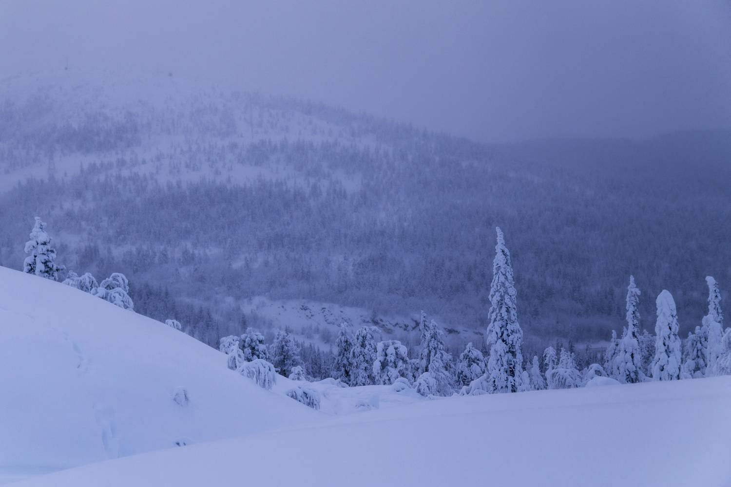 Мурманская область, Кольский полуостров, Кандалакша, Волосяная сопка, Татьяна Кормашова