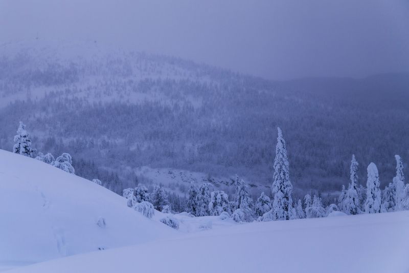 Мурманская область, Кольский полуостров, Кандалакша, Волосяная сопка Туманные пасмурные дали фото превью